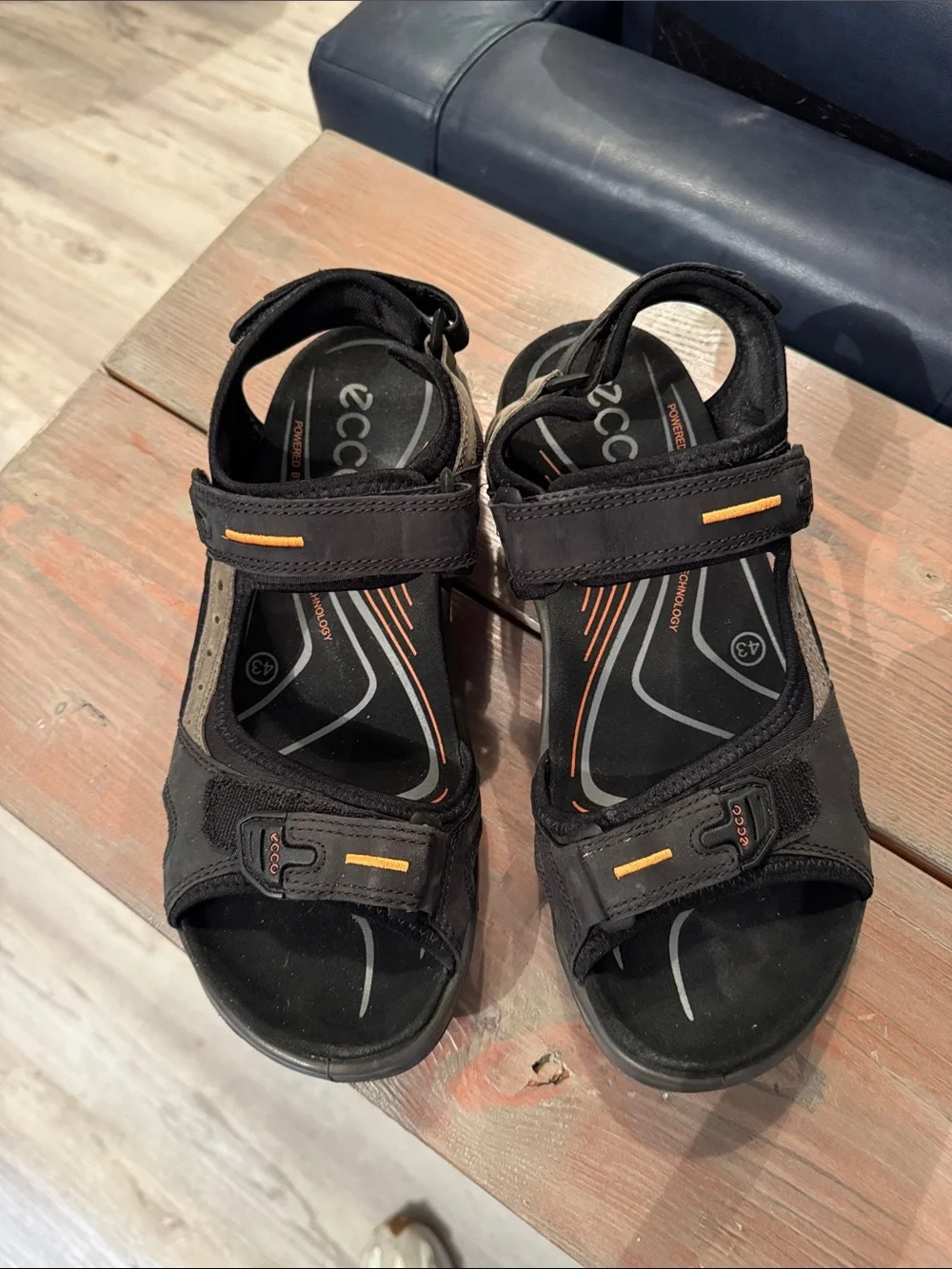 Ecco lightweight kids